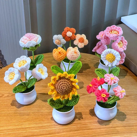 Forever Mini Potted Flowers